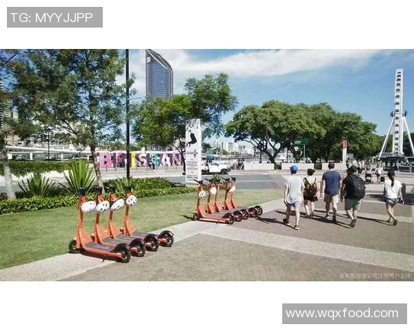 上海滑板队技术表现数据分析与提升策略探讨