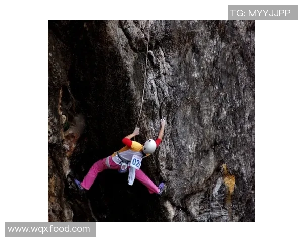 南京攀岩队与广州攀岩队赛后复盘团队协作的成功与挑战分析