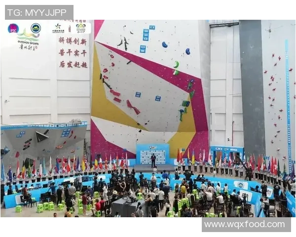 北京极限运动队在世界攀岩锦标赛中的灵活性表现与战术分析 北京极限运动队在世界攀岩锦标赛中的灵活性表现与战术分析