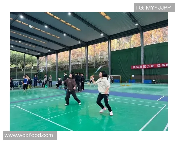 武汉羽毛球队个人能力分析与发展潜力探讨