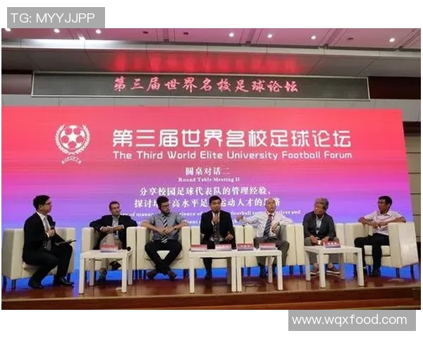 深入探讨上海足球队比赛经验的分析与表现评估