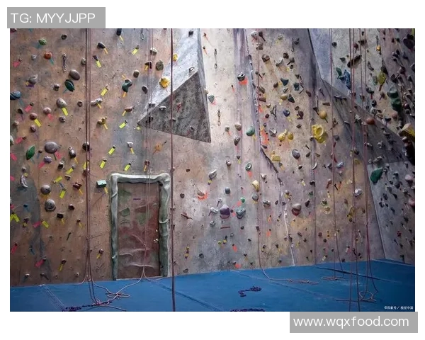 杭州攀岩队与北京攀岩队实力对比赛后分析与总结